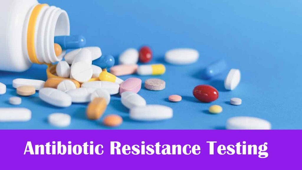 Antibiotic Resistance Testing